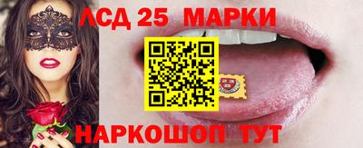 сатива Кингисепп