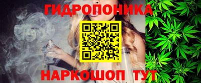 сатива Кингисепп