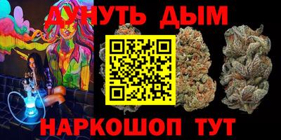 сатива Кингисепп