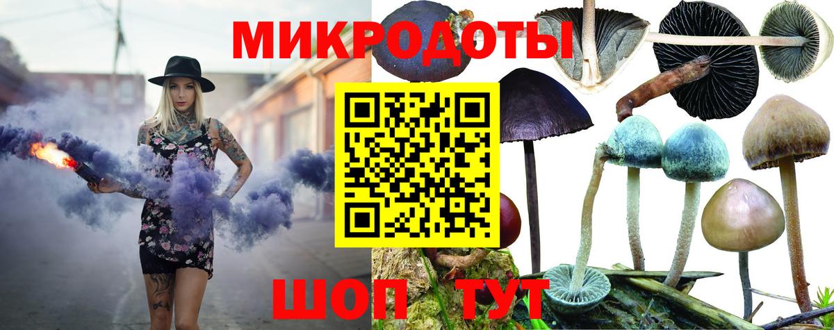 Галлюциногенные грибы прущие грибы Кизляр