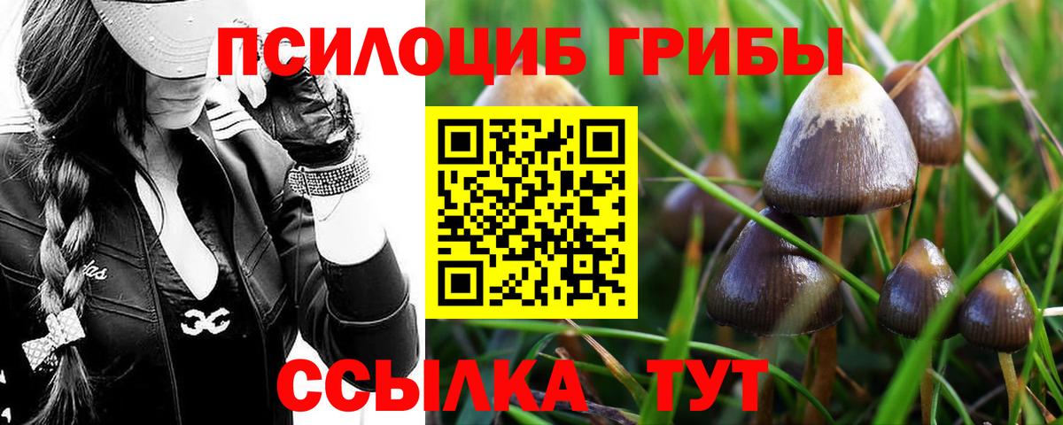 Галлюциногенные грибы GOLDEN TEACHER  Вход с VPN  Кизляр 